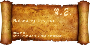 Matecsny Ervina névjegykártya